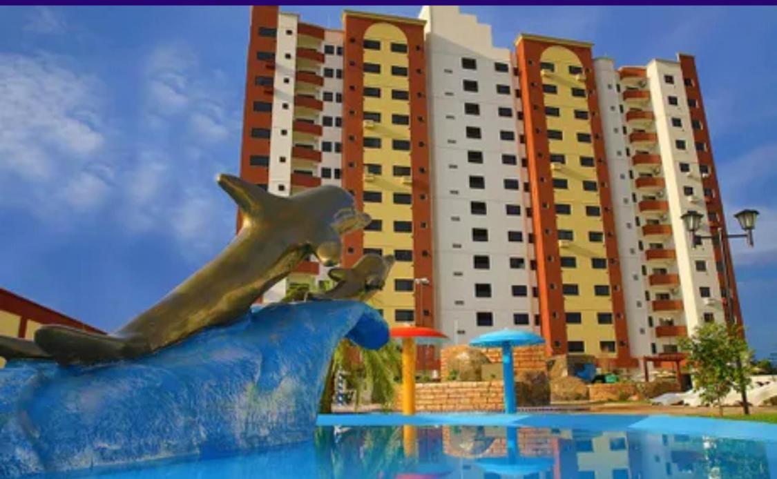 Golden Dolphin Supreme *